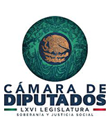CÃĄmara de Diputados